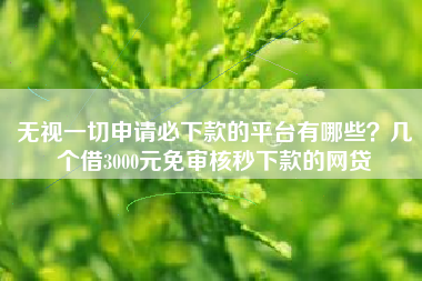 无视一切申请必下款的平台有哪些？几个借3000元免审核秒下款的网贷