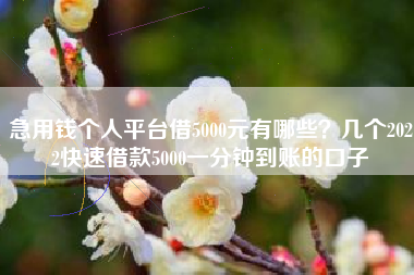 急用钱个人平台借5000元有哪些？几个2022快速借款5000一分钟到账的口子