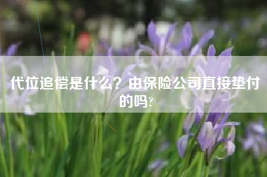 代位追偿是什么？由保险公司直接垫付的吗?