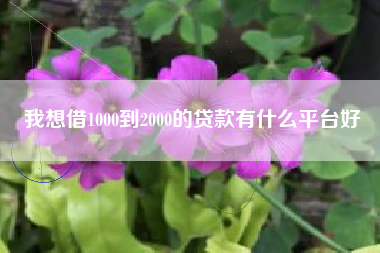 我想借1000到2000的贷款有什么平台好