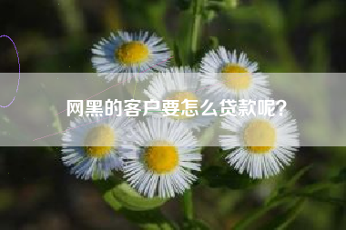 网黑的客户要怎么贷款呢？