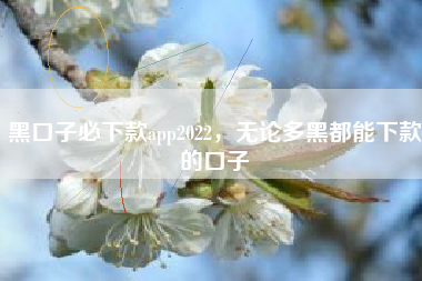 黑口子必下款app2022，无论多黑都能下款的口子