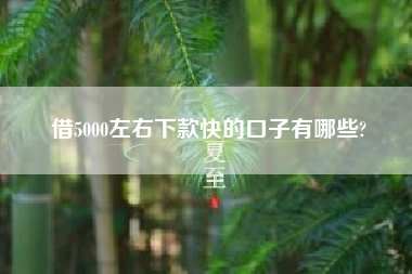 借5000左右下款快的口子有哪些?