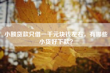 小额贷款只借一千元块钱左右，有哪些小贷好下款？