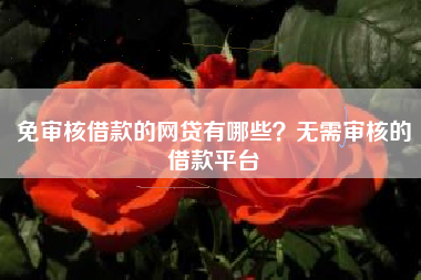 免审核借款的网贷有哪些？无需审核的借款平台