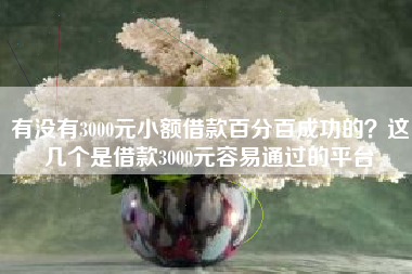 有没有3000元小额借款百分百成功的？这几个是借款3000元容易通过的平台