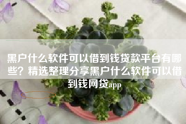 黑户什么软件可以借到钱贷款平台有哪些？精选整理分享黑户什么软件可以借到钱网贷app