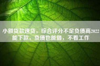 小额贷款速贷，综合评分不足负债高2022能下款，负债也能借，不看工作