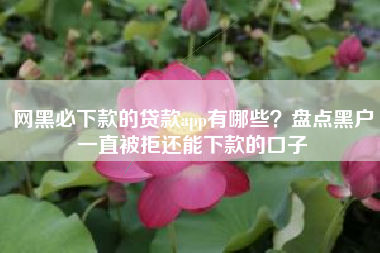 网黑必下款的贷款app有哪些？盘点黑户一直被拒还能下款的口子