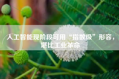 人工智能现阶段可用“指数级”形容，堪比工业革命