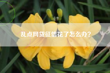 乱点网贷征信花了怎么办？