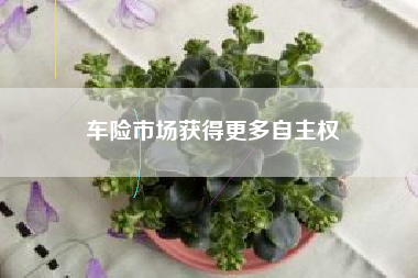 车险市场获得更多自主权