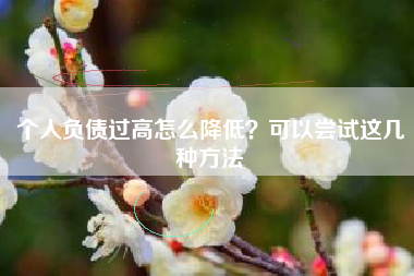 个人负债过高怎么降低？可以尝试这几种方法