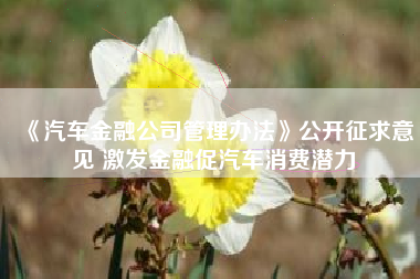 《汽车金融公司管理办法》公开征求意见 激发金融促汽车消费潜力