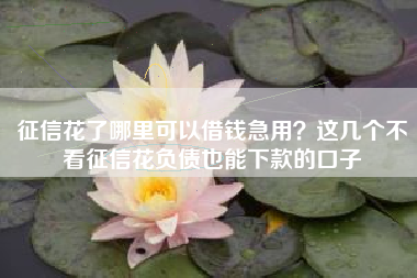 征信花了哪里可以借钱急用？这几个不看征信花负债也能下款的口子