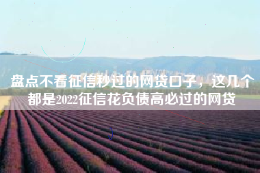 盘点不看征信秒过的网贷口子，这几个都是2022征信花负债高必过的网贷