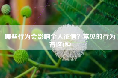 哪些行为会影响个人征信？常见的行为有这4种