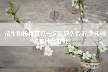 花生和核桃可以一起吃吗？吃花生核桃有什么好处？