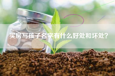 买房写孩子名字有什么好处和坏处？