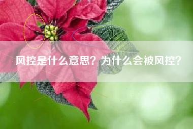 风控是什么意思？为什么会被风控？