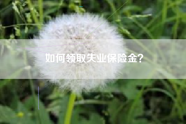 如何领取失业保险金？