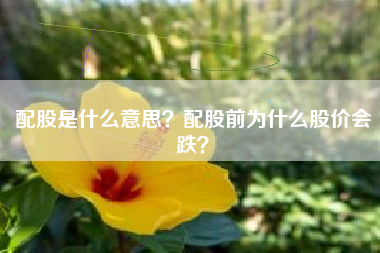 配股是什么意思？配股前为什么股价会跌？