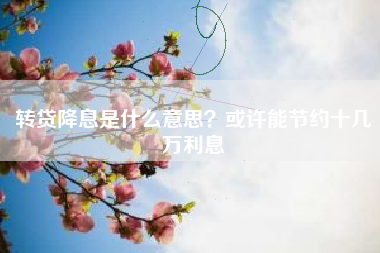 转贷降息是什么意思？或许能节约十几万利息