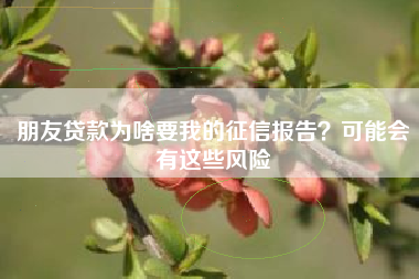 朋友贷款为啥要我的征信报告？可能会有这些风险