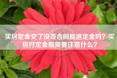 买房定金交了没签合同能退定金吗？买房付定金前需要注意什么？