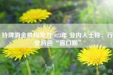 持牌消金机构发力2023年 业内人士称：行业将迎“窗口期”