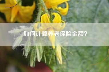 如何计算养老保险金额？